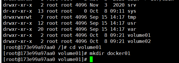 image-20211008173242330