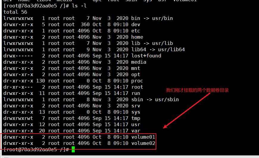 image-20211008171210378